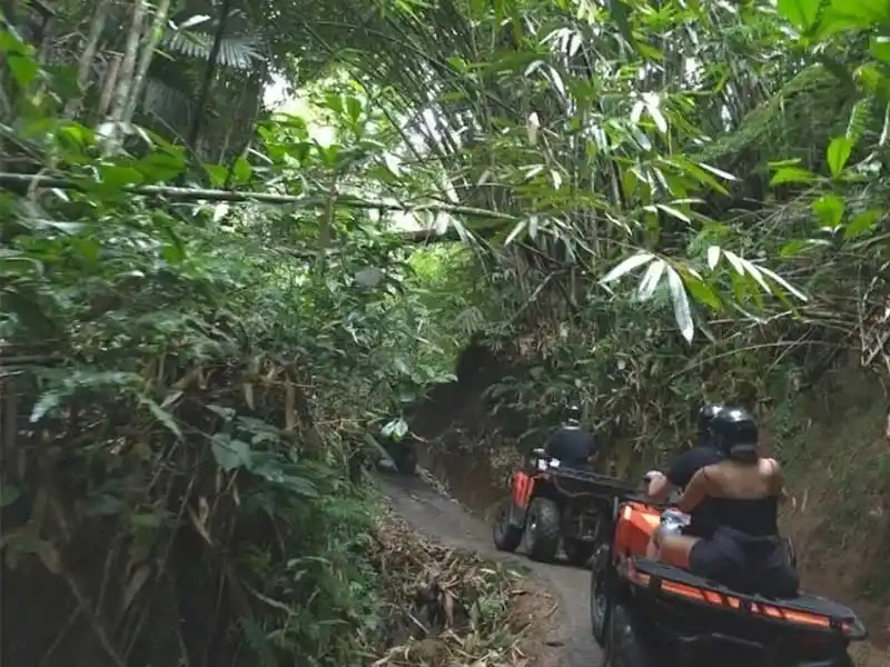 Elevation Changes and Track Layout in jungle atv bali