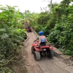 Best Beginner Friendly ATV Routes in Bali
