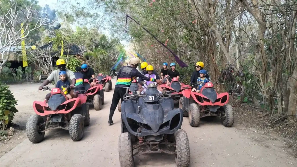 Professional ATV Guide